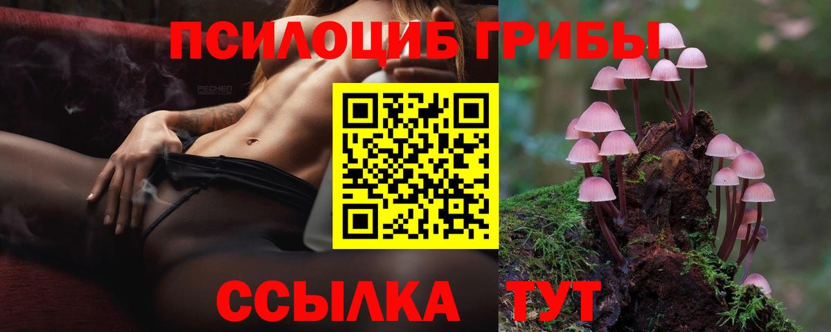Полысаево  Псилоцибиновые грибы Psilocybine cubensis  Псилоцибиновые грибы прущие грибы  Вход с VPN 